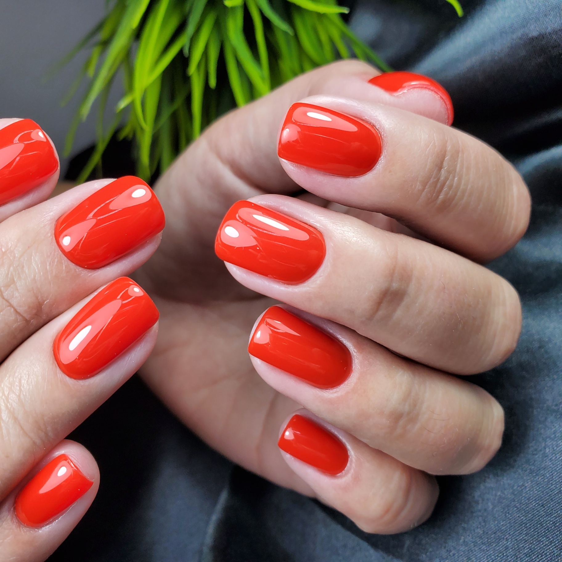 Bright coral red manicure with a clean grow-out